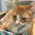 Barbara Yaeger's profile image
