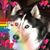 Penny Sharpe's profile image