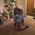 Kathy Walter-Jones's profile image