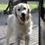 Georgeann Logsdon's profile image