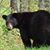 Don Winland's profile image