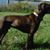 Robert S. Bruns's profile image