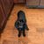 Leora Itzhaki's profile image