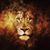Arnaud David's profile image