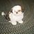 Sandy Wood's profile image