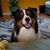 Robi Ingerson's profile image