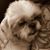 Joseph Cubria Farris's profile image