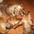 Debbie Clund's profile image