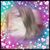 Elizabeth Newberry's profile image