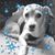 Barbara Crownover's profile image