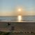 Dawn Salerno-Trivento's profile image