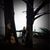 Kathleen McCullough's profile image