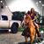 Nikki Delong's profile image