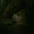 Roger Moulton's profile image