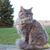 Carol Traxler Richardson's profile image