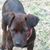 Martha Pearl McClure's profile image