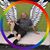 Len Peterson's profile image