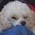 Barb Nutter's profile image
