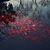 Gray Beller's profile image