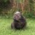 Keno Norton's profile image