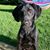 Karla Hines Stafford's profile image