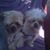 Vanessa E Portillo-Reinosa's profile image