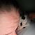 April Michelle Grubb's profile image