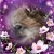 Murphy Karen Grund's profile image