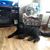 Tona Sponcil Smith's profile image