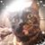 Brianna Hildreth's profile image