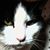 Dolly Colins's profile image