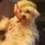 Donald Davis Sr.'s profile image