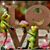 Vicky Vaughan's profile image