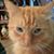 Barbara Fatica's profile image