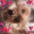Jackie Blackburn's profile image