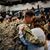 Deena Maria Griffith's profile image