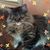 Mary Tasner Peretz's profile image