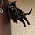 Patty Tenerowicz-Corwin's profile image