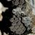 Brandi Reddington's profile image