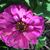 Terry Lynn Holmquist Guenther's profile image