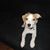James Crotti Jr.'s profile image