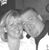 Heidi Hegstrom's profile image