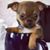 Erline Donovan's profile image