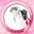 Vicki Green Ward's profile image