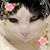 Teri Armstrong's profile image