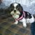 Cookie Brownfield Stephens's profile image