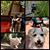 Tammy Grinstead Fry's profile image