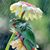 Debbie Ebersole-briel's profile image