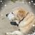 Geri Imdieke's profile image