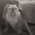 Joann Gauvin's profile image
